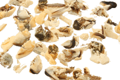 Мидии – Суши-Профи Мидии