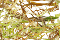 Порей жареный – Суши-Профи Порей жареный