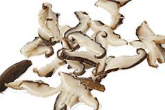 Шиитаке – Суши-Профи Шиитаке